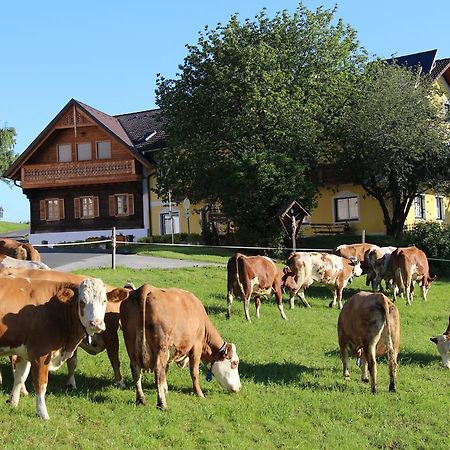 Wiesenbauer - Schlogl Anton Villa Grafendorf bei Hartberg Buitenkant foto