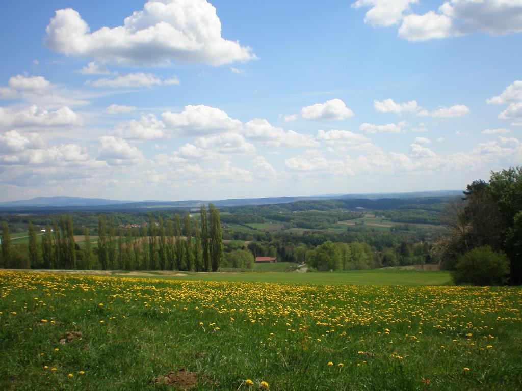 Wiesenbauer - Schlogl Anton Villa Grafendorf bei Hartberg Buitenkant foto