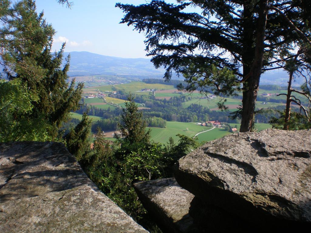 Wiesenbauer - Schlogl Anton Villa Grafendorf bei Hartberg Buitenkant foto